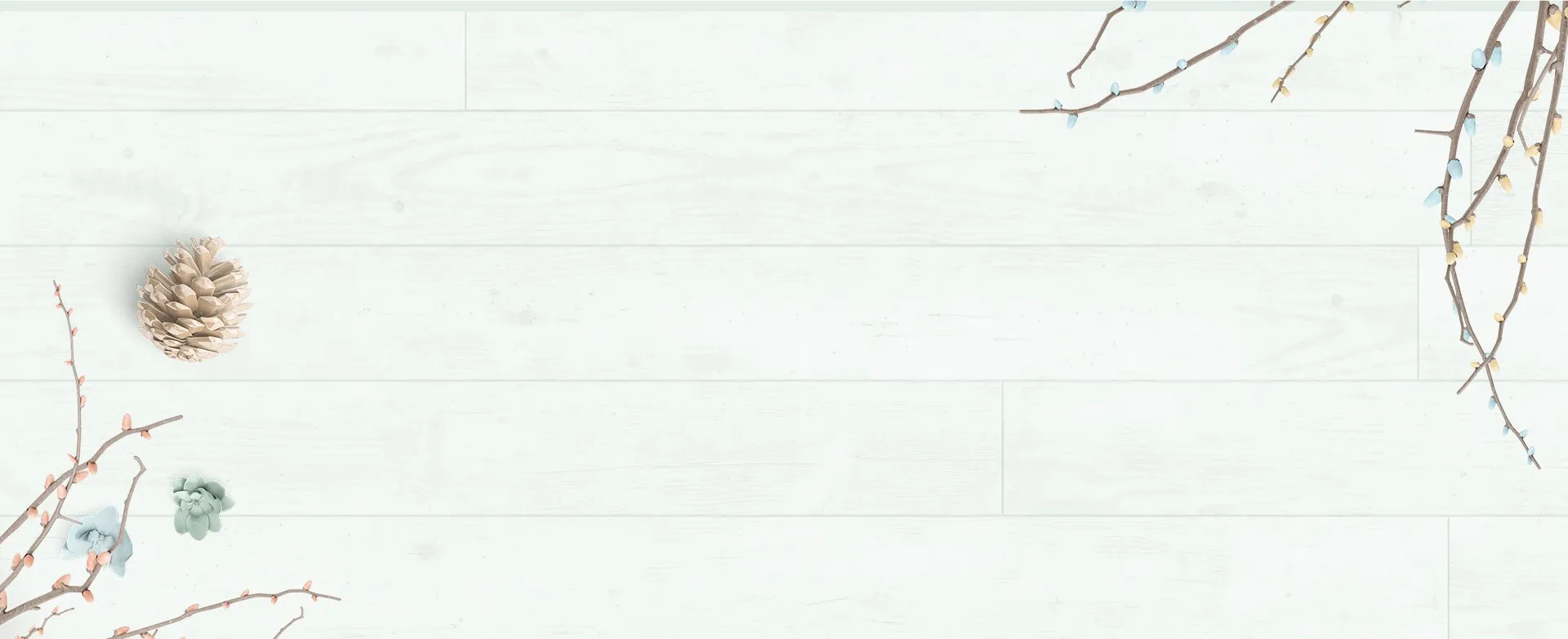 Footer bg